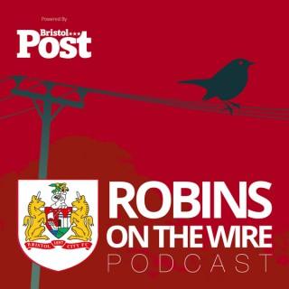 Robins on the Wire