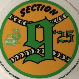 Section925 Podcenter