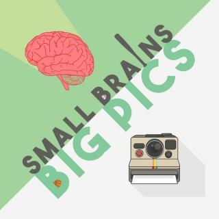 Small Brains Big Pics
