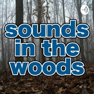 Sounds in the Woods