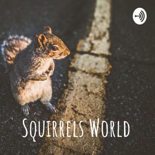 Squirrels World