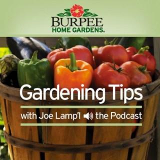 Burpee Home Gardens Tip of The Week Podcast