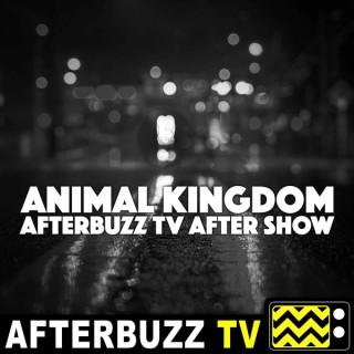 Animal Kingdom Reviews & After Show - AfterBuzz TV