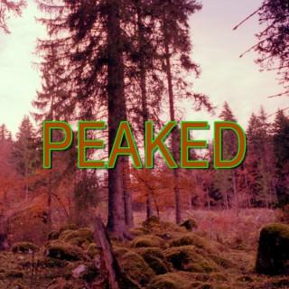 Peaked: A Twin Peaks Fancast