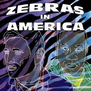 Zebras In America