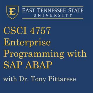 Enterprise Programming - SAP ABAP Programming 2015