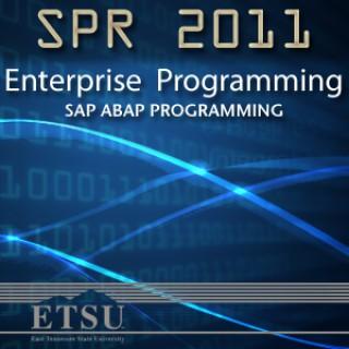 Enterprise Programming -- SAP ABAP Programming  Spring 2013