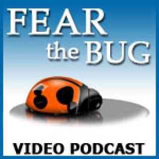 Fear the Bug Video Podcast (SD)