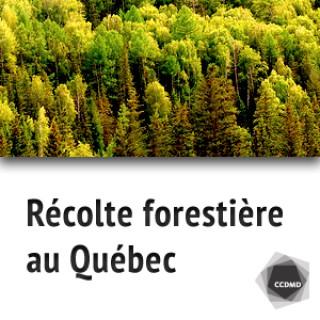 Récolte forestière au Québec (album des vidéos)