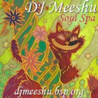 Soul Spa w/ Meeshu