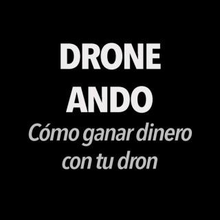 Droneando.info