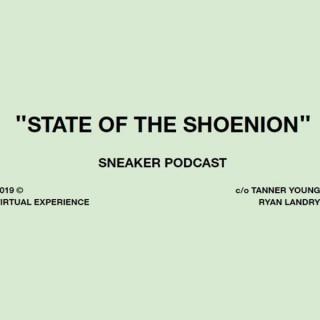 State of the Shoenion