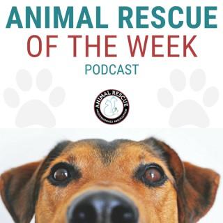 Animal Rescue of the week