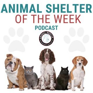 Animal Shelter of the Week