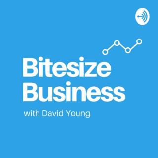 Bitesize Business Podcast with David Young