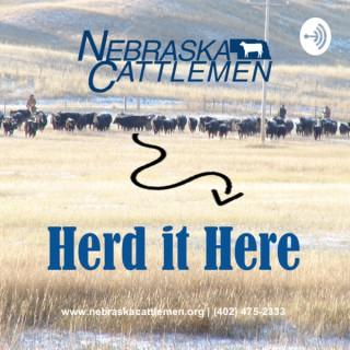 Herd it Here with Nebraska Cattlemen