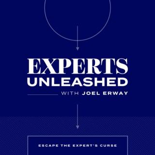 Experts Unleashed with Joel Erway