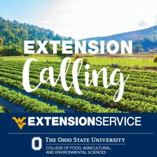 Extension Calling