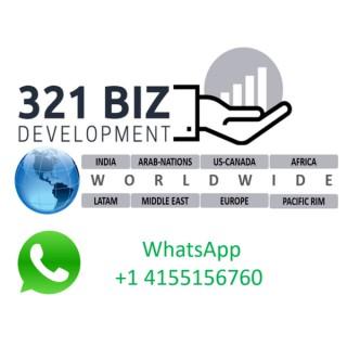 321 Biz Development