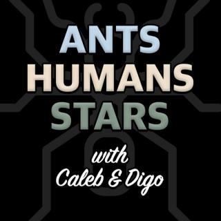 Ants Humans Stars