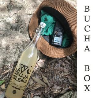 Bucha Box