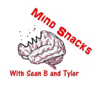 Mind Snacks Podcast