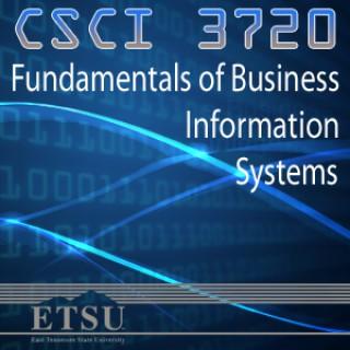 Fundamentals of Business Information Systems - Spring 2013