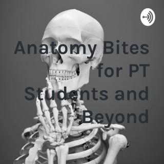 Anatomy Bites for PT Students and Beyond
