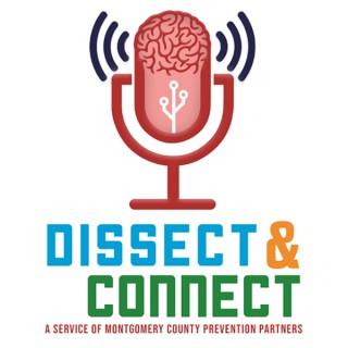 Dissect & Connect