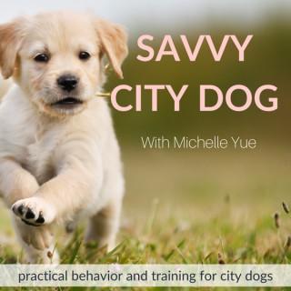 Dog & Puppy Training | Savvy City Dog