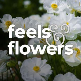 Feels and Flowers