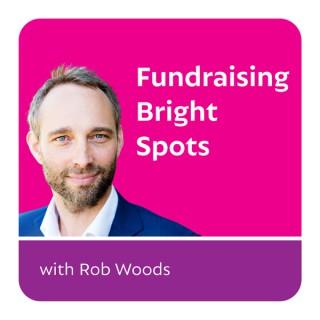 Fundraising Bright Spots