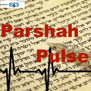 Parsha Pulse