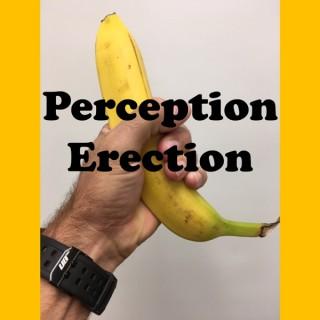 Perception Erection