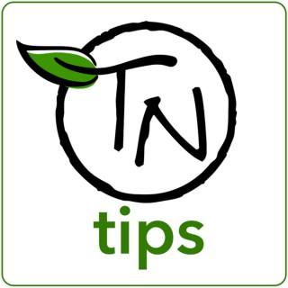 TimberNook Tips Podcast