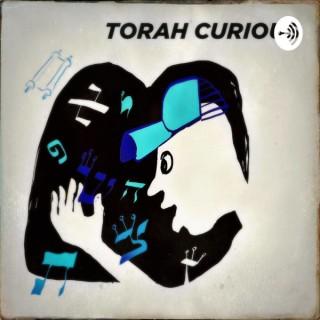Torah Curious