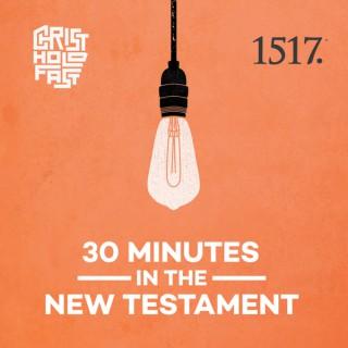 30 Minutes In The New Testament