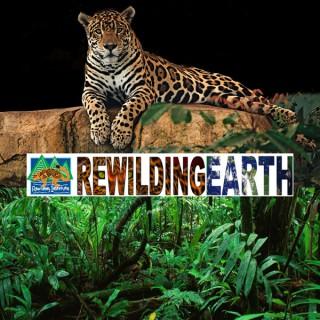 Rewilding Earth