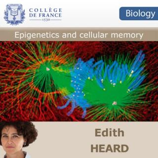 Epigenetics and cellular memory