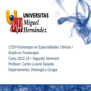 Fisioterapia en Especialidades Clínicas I (umh 1729) Curso 2012 - 2013