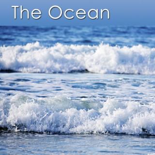Healing Sounds of the Ocean