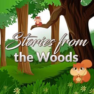 Stories from the Woods - Original Children Stories Podcast
