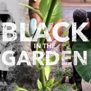 Black in the Garden