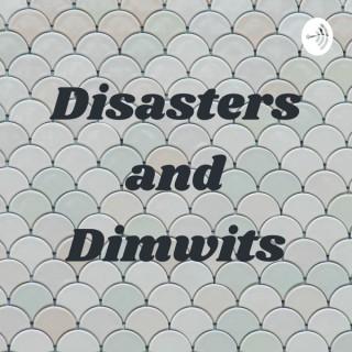 Disasters and Dimwits
