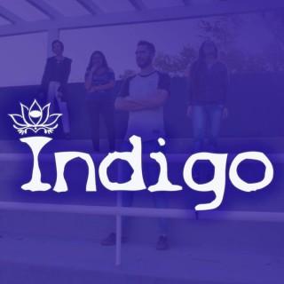 Indigo podcast