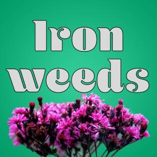 Ironweeds