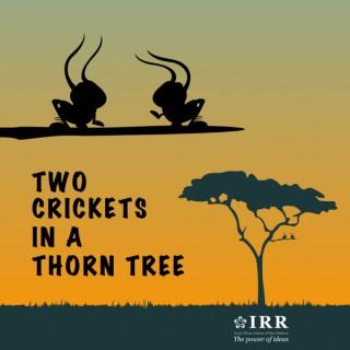 2 Crickets In A Thorn Tree