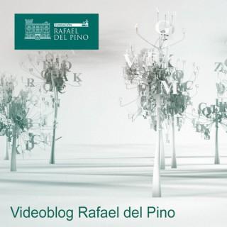 Videoblog Rafael del Pino