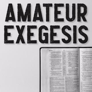 Amateur Exegesis