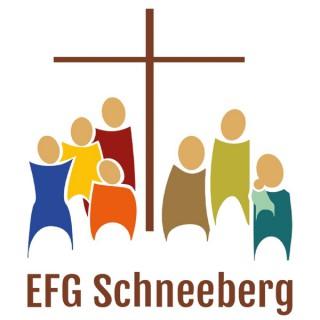 EFG Schneeberg